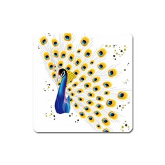 Bird Peafowl Peacock Animal Square Magnet by uniart180623