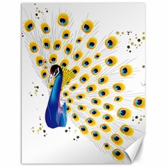 Bird Peafowl Peacock Animal Canvas 12  X 16  by uniart180623