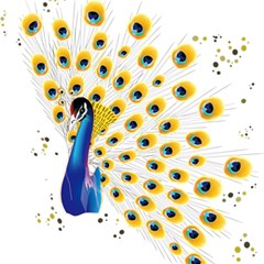 Bird Peafowl Peacock Animal Play Mat (square) by uniart180623