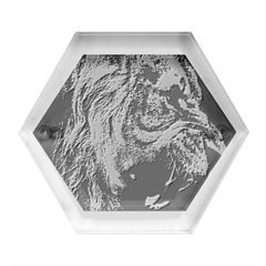 Angry Male Lion Predator Carnivore Hexagon Wood Jewelry Box by uniart180623