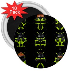 Beetles-insects-bugs- 3  Magnets (10 Pack)  by Ket1n9