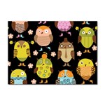 Cute Owls Pattern Sticker A4 (100 pack) Front