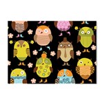 Cute Owls Pattern Crystal Sticker (A4) Front