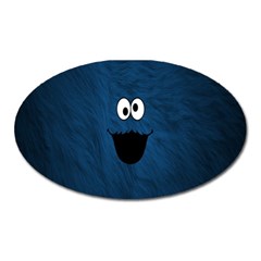 Funny Face Oval Magnet