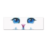 Cute White Cat Blue Eyes Face Sticker (Bumper) Front