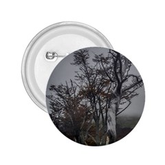 Nature s Resilience: Tierra Del Fuego Forest, Argentina 2 25  Buttons by dflcprintsclothing