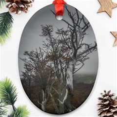 Nature s Resilience: Tierra Del Fuego Forest, Argentina Ornament (oval) by dflcprintsclothing