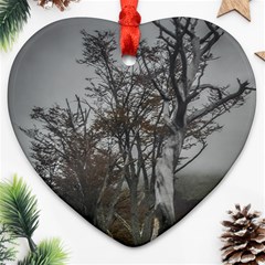 Nature s Resilience: Tierra Del Fuego Forest, Argentina Ornament (heart)