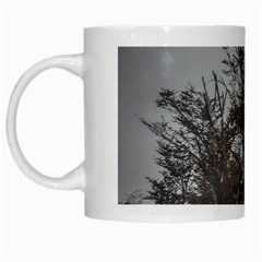 Nature s Resilience: Tierra Del Fuego Forest, Argentina White Mug by dflcprintsclothing