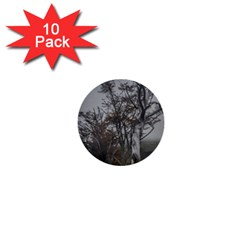 Nature s Resilience: Tierra Del Fuego Forest, Argentina 1  Mini Buttons (10 Pack)  by dflcprintsclothing