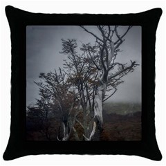 Nature s Resilience: Tierra Del Fuego Forest, Argentina Throw Pillow Case (black) by dflcprintsclothing