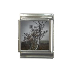 Nature s Resilience: Tierra Del Fuego Forest, Argentina Italian Charm (13mm) by dflcprintsclothing