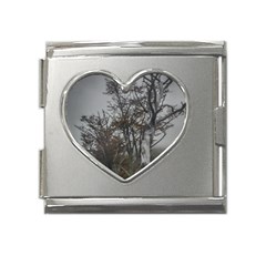 Nature s Resilience: Tierra Del Fuego Forest, Argentina Mega Link Heart Italian Charm (18mm) by dflcprintsclothing