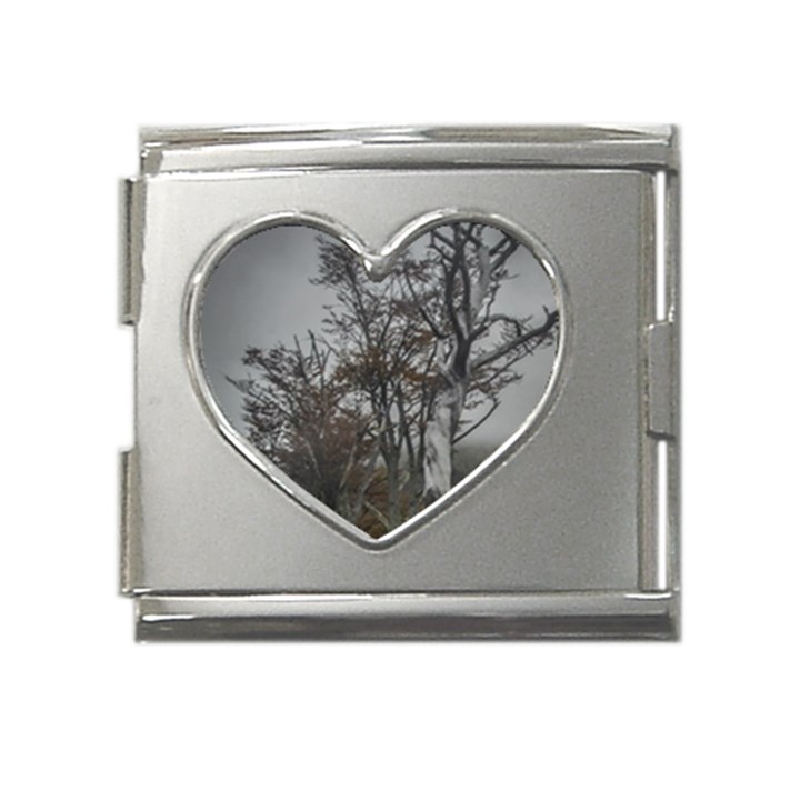 Nature s Resilience: Tierra del Fuego Forest, Argentina Mega Link Heart Italian Charm (18mm)