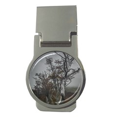 Nature s Resilience: Tierra Del Fuego Forest, Argentina Money Clips (round)  by dflcprintsclothing