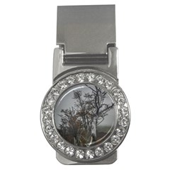 Nature s Resilience: Tierra Del Fuego Forest, Argentina Money Clips (cz)  by dflcprintsclothing