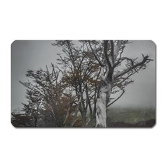 Nature s Resilience: Tierra Del Fuego Forest, Argentina Magnet (rectangular) by dflcprintsclothing