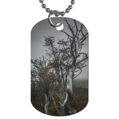 Nature s Resilience: Tierra Del Fuego Forest, Argentina Dog Tag (two Sides) by dflcprintsclothing