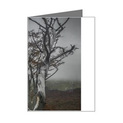 Nature s Resilience: Tierra Del Fuego Forest, Argentina Mini Greeting Card by dflcprintsclothing