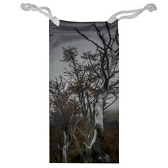 Nature s Resilience: Tierra Del Fuego Forest, Argentina Jewelry Bag by dflcprintsclothing