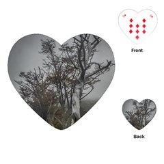 Nature s Resilience: Tierra Del Fuego Forest, Argentina Playing Cards Single Design (heart)