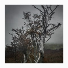 Nature s Resilience: Tierra Del Fuego Forest, Argentina Medium Glasses Cloth by dflcprintsclothing