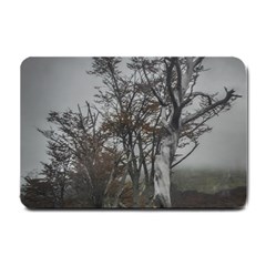 Nature s Resilience: Tierra Del Fuego Forest, Argentina Small Doormat by dflcprintsclothing