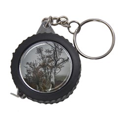 Nature s Resilience: Tierra Del Fuego Forest, Argentina Measuring Tape by dflcprintsclothing