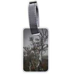 Nature s Resilience: Tierra Del Fuego Forest, Argentina Luggage Tag (one Side) by dflcprintsclothing