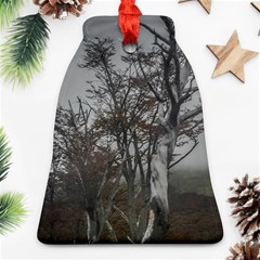 Nature s Resilience: Tierra Del Fuego Forest, Argentina Ornament (bell) by dflcprintsclothing