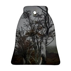 Nature s Resilience: Tierra Del Fuego Forest, Argentina Bell Ornament (two Sides) by dflcprintsclothing