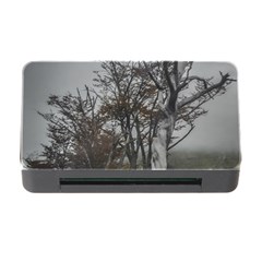 Nature s Resilience: Tierra Del Fuego Forest, Argentina Memory Card Reader With Cf by dflcprintsclothing