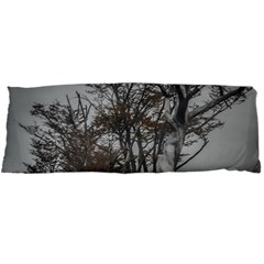 Nature s Resilience: Tierra Del Fuego Forest, Argentina Body Pillow Case Dakimakura (two Sides) by dflcprintsclothing