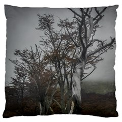 Nature s Resilience: Tierra Del Fuego Forest, Argentina Large Cushion Case (two Sides) by dflcprintsclothing