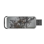 Nature s Resilience: Tierra del Fuego Forest, Argentina Portable USB Flash (Two Sides) Front