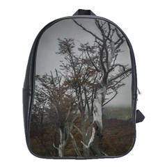 Nature s Resilience: Tierra Del Fuego Forest, Argentina School Bag (xl) by dflcprintsclothing