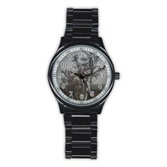 Nature s Resilience: Tierra Del Fuego Forest, Argentina Stainless Steel Round Watch by dflcprintsclothing