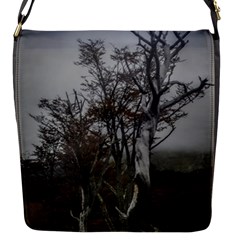 Nature s Resilience: Tierra Del Fuego Forest, Argentina Flap Closure Messenger Bag (s) by dflcprintsclothing