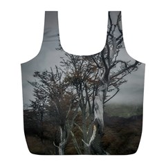 Nature s Resilience: Tierra Del Fuego Forest, Argentina Full Print Recycle Bag (l) by dflcprintsclothing