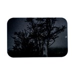 Nature s Resilience: Tierra del Fuego Forest, Argentina Open Lid Metal Box (Silver)   Front