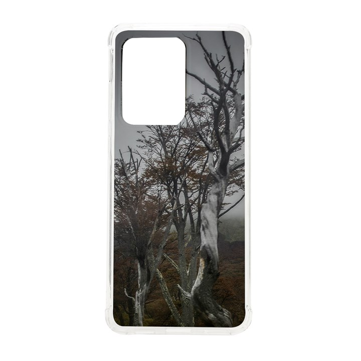 Nature s Resilience: Tierra del Fuego Forest, Argentina Samsung Galaxy S20 Ultra 6.9 Inch TPU UV Case