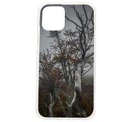 Nature s Resilience: Tierra Del Fuego Forest, Argentina Iphone 12 Pro Max Tpu Uv Print Case by dflcprintsclothing