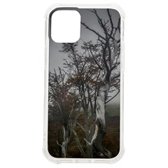 Nature s Resilience: Tierra Del Fuego Forest, Argentina Iphone 12 Mini Tpu Uv Print Case	 by dflcprintsclothing