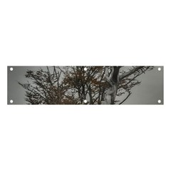 Nature s Resilience: Tierra Del Fuego Forest, Argentina Banner And Sign 4  X 1  by dflcprintsclothing