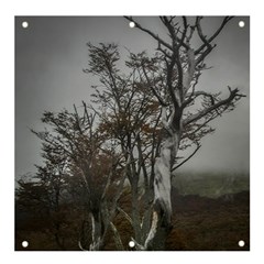 Nature s Resilience: Tierra Del Fuego Forest, Argentina Banner And Sign 4  X 4  by dflcprintsclothing