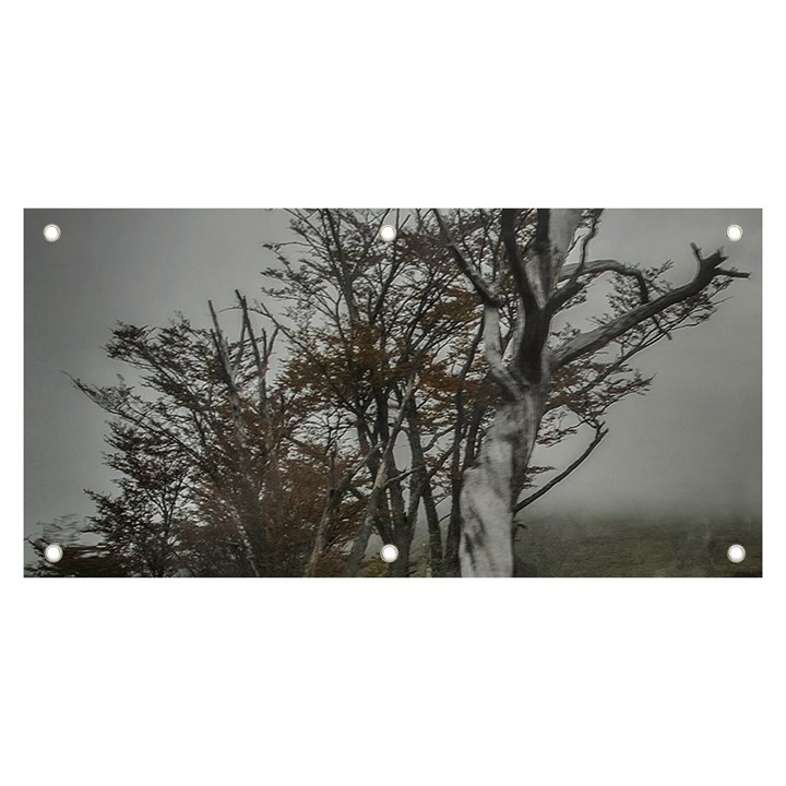 Nature s Resilience: Tierra del Fuego Forest, Argentina Banner and Sign 6  x 3 