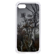 Nature s Resilience: Tierra Del Fuego Forest, Argentina Iphone Se by dflcprintsclothing