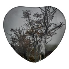 Nature s Resilience: Tierra Del Fuego Forest, Argentina Heart Glass Fridge Magnet (4 Pack) by dflcprintsclothing