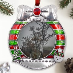 Nature s Resilience: Tierra Del Fuego Forest, Argentina Metal X mas Ribbon With Red Crystal Round Ornament by dflcprintsclothing