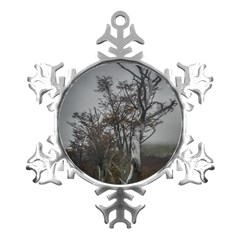 Nature s Resilience: Tierra Del Fuego Forest, Argentina Metal Small Snowflake Ornament